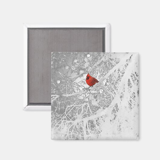 Aimant Cardinal in Winter (Recto/Verso)