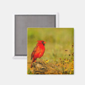 Aimant Cardinal masculin sur le journal (Recto/Verso)