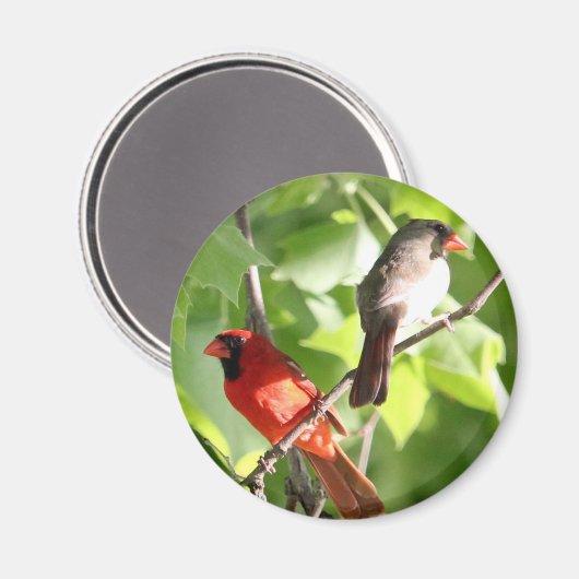 Aimant Cardinal Mates (Recto/Verso)