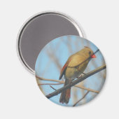 Aimant Cardinal/Oiseau féminin (Recto/Verso)