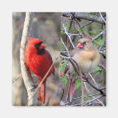 Aimant Cardinal Pair (Devant)