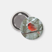 Aimant cardinal rouge (Recto/Verso)