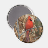 Aimant Cardinal rouge (Recto/Verso)