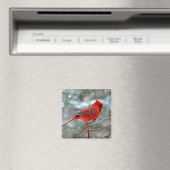 Aimant Cardinal rouge (In Situ (Lave-vaisselle))