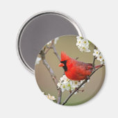 Aimant Cardinal rouge (Recto/Verso)