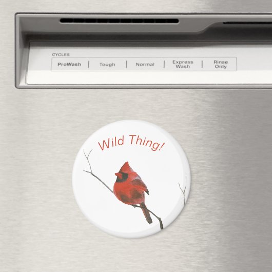 Aimant Cardinal rouge (In Situ (Lave-vaisselle))