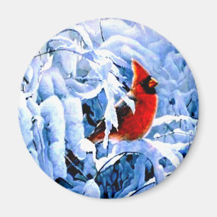 Aimant Cardinal rouge dans la neige d'hiver