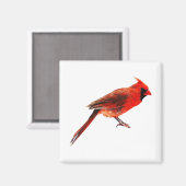 Aimant Cardinal(s) (Recto/Verso)