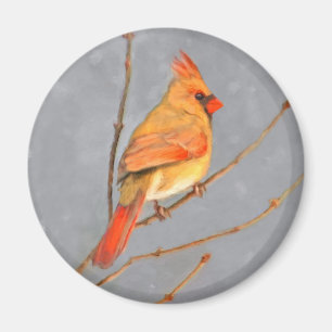 Aimant Cardinal sur la peinture de branche - Art original