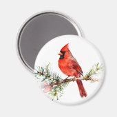 Aimant Cardinal sur une branche de sapin (Recto/Verso)