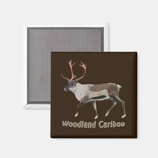 Aimant Caribou des bois (Recto/Verso)