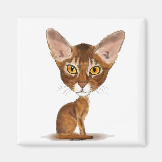Aimant Caricature Abyssinian (Devant)