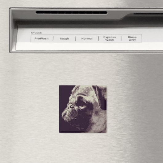 Aimant Carlin (In Situ (Lave-vaisselle))