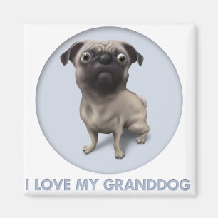 Aimant Carlin Granddog