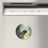 Aimant Carlin magnétique (In Situ (Lave-vaisselle))