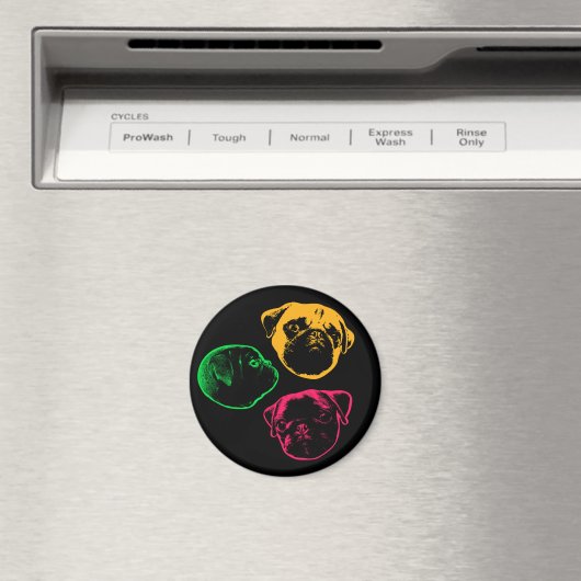 Aimant carlins (In Situ (Lave-vaisselle))