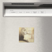 Aimant Carlotta Grisi (1819-99) dans le Ballet du Peri (In Situ (Lave-vaisselle))