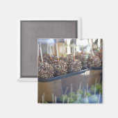 Aimant Carmel pommes, Pioneer Carré, Seattle, (Recto/Verso)