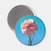 Aimant carnation (Recto/Verso)