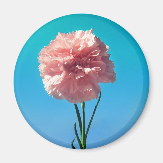 Aimant carnation (Devant)