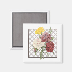 AIMANT CARNATIONS