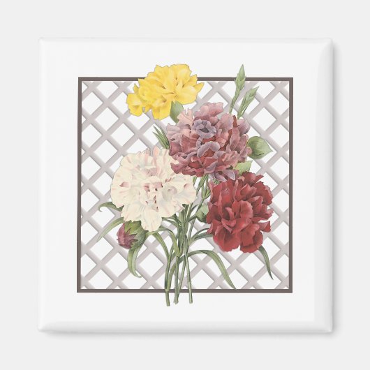 AIMANT CARNATIONS (Devant)