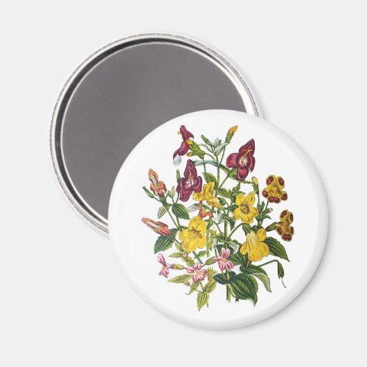 Aimant Carnaval des fleurs (Recto/Verso)