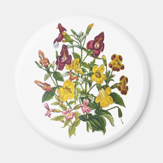 Aimant Carnaval des fleurs (Devant)