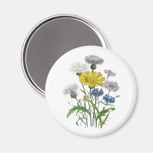 Aimant Carnaval des fleurs (Recto/Verso)