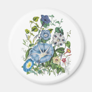 Aimant Carnaval des fleurs