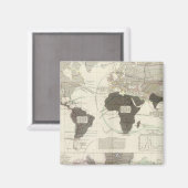 Aimant Carnivora (Recto/Verso)