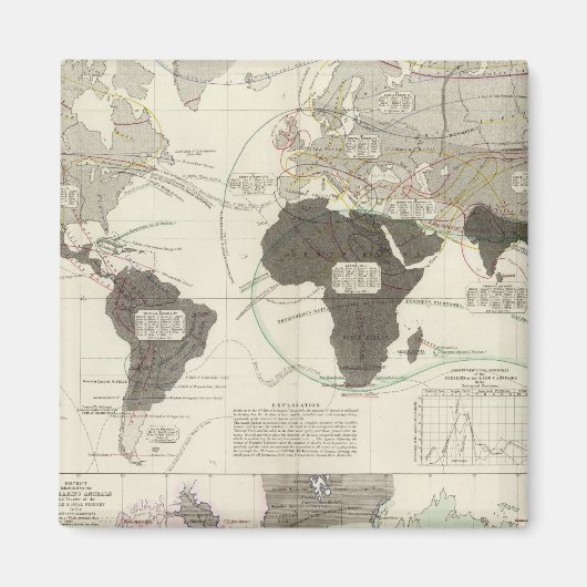 Aimant Carnivora (Devant)