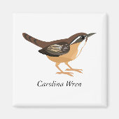 Aimant Carolina Wren (Devant)