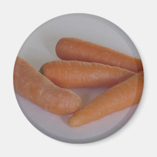 Aimant Carottes
