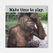 Aimant Carpe Diem Cute Wildlife (Devant)