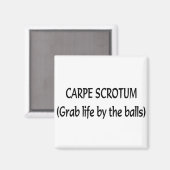 Aimant Carpe Scrotum (Recto/Verso)