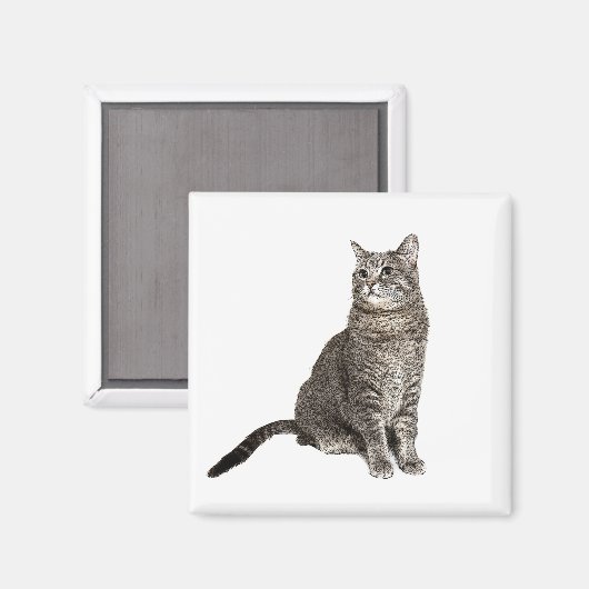 Aimant Carré Abyssinian (Recto/Verso)