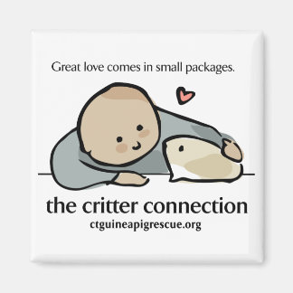 Aimant carré avec logo couleur et site web