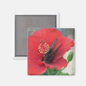 Aimant carré avec Papillon sur fleur rouge (Recto/Verso)