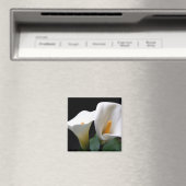 Aimant Carré blanc à la lueur de Calla (In Situ (Lave-vaisselle))