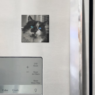 Aimant carré chat noir âme azur yeux bleus