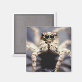 aimant carré d'araignée (Recto/Verso)