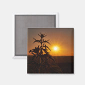 Aimant Carré de 2 pouces avec beau coucher de sole (Recto/Verso)