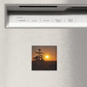 Aimant Carré de 2 pouces avec beau coucher de sole (In Situ (Lave-vaisselle))