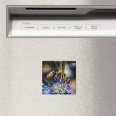 Aimant carré de 2 pouces Bee Aware (In Situ (Lave-vaisselle))