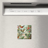 Aimant Carré de colibris (In Situ (Lave-vaisselle))