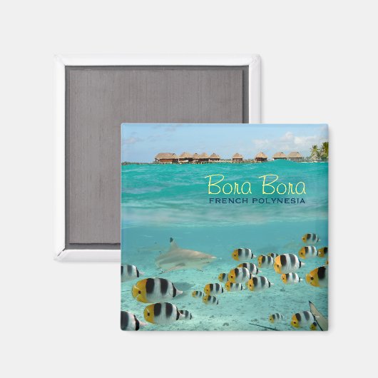 Aimant carré de requin avec Bora Bora texte (Recto/Verso)