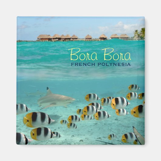 Aimant carré de requin avec Bora Bora texte (Devant)