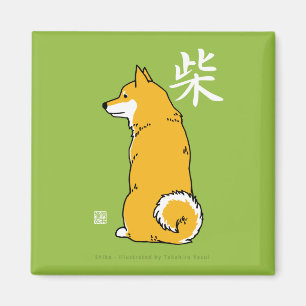 Aimant carré de Shiba