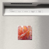 Aimant Carré d'expression de couleur rose (In Situ (Lave-vaisselle))